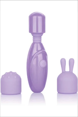 California Exotics Novelties Dr. Laura Berman Olivia Rechargeable Mini Massager with Attachments